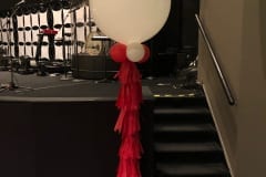 3ft Tassel and Ribbon Balloons - 19