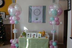 Baby Showers and Namings - 1