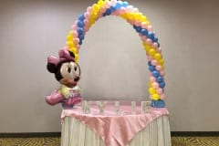 Baby Showers and Namings -7