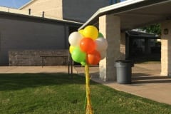 Balloon Topiary -8