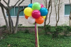 Balloon Topiary -15