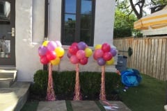 Balloon Topiary -42