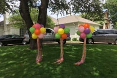 Balloon Topiary -46