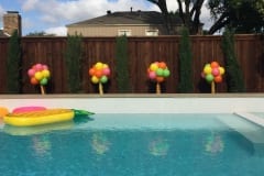 Balloon Topiary -50