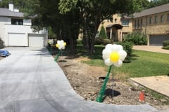Balloon Topiary -55