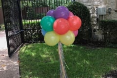 Balloon Topiary -67