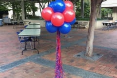 Balloon Topiary -70