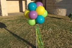 Balloon Topiary -73