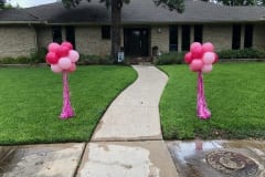 Balloon Topiary -77