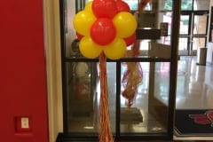 Balloon Topiary -80