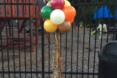 Balloon Topiary -81