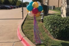 Balloon Topiary -87