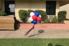 Balloon Topiary -94