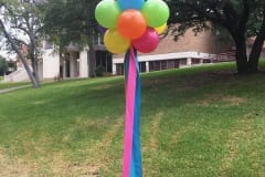 Balloon Topiary -97
