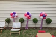 Balloon Topiary -100