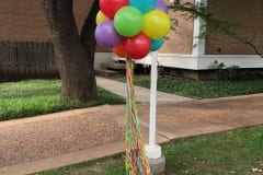 Balloon Topiary -110