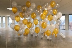 Helium Balloon Walls -3