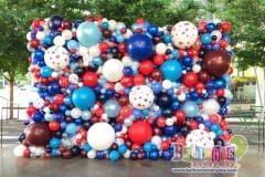 Organic Balloon Walls - 5